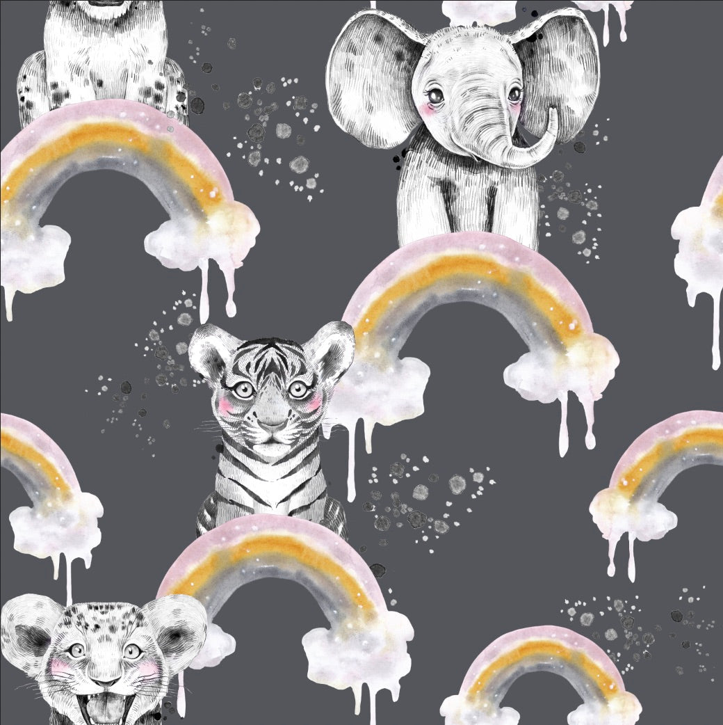 Rainbow Safari